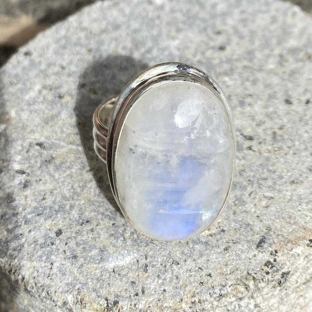 Anillo ovalado de Piedra Luna - Komodo-fv